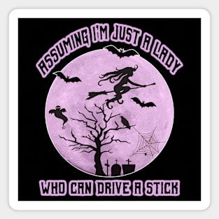 Lady Witch who can Drive a Stick, Funny Halloween Costume Magnet